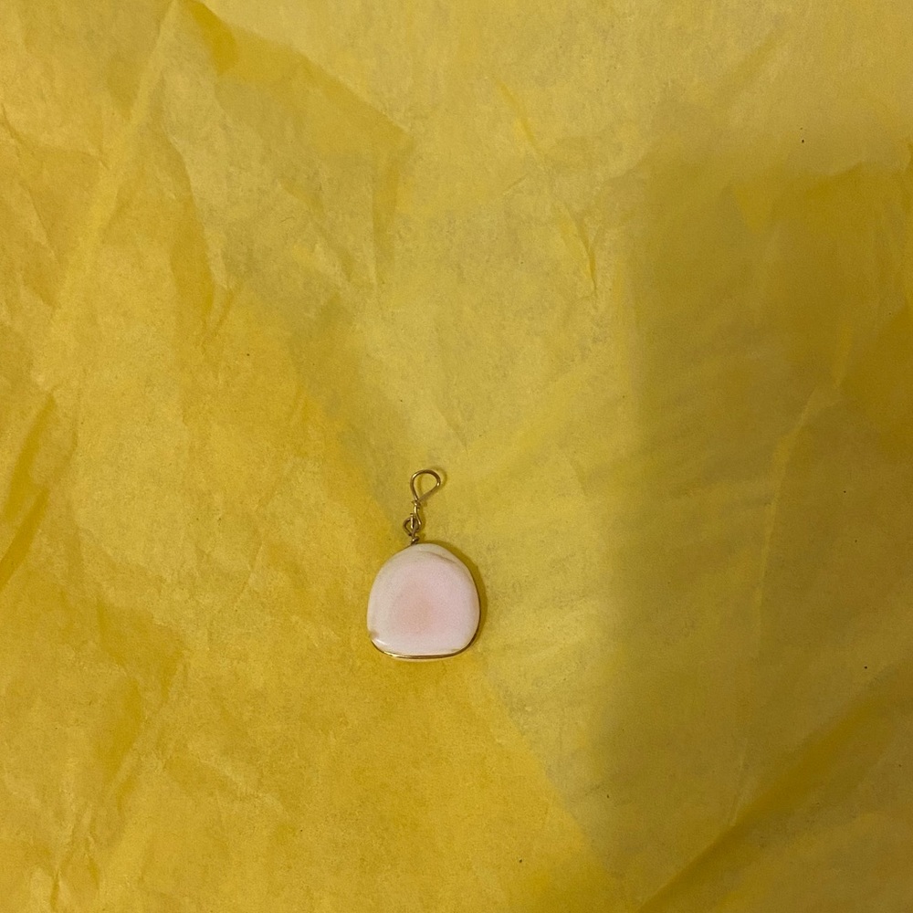 ✨ Shell 🐚 pendant necklace ✨